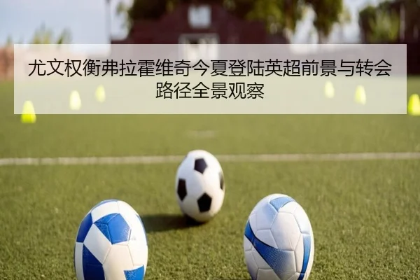 尤文权衡弗拉霍维奇今夏登陆英超前景与转会路径全景观察