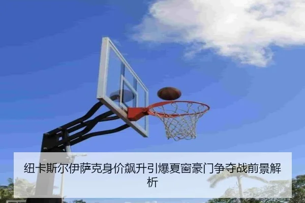 纽卡斯尔伊萨克身价飙升引爆夏窗豪门争夺战前景解析